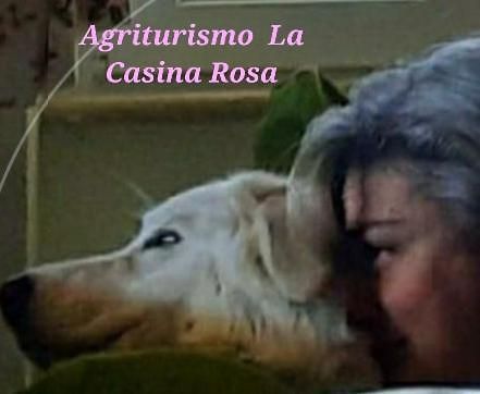 Agriturismo La Casina Rosa Camigliatello Silano Kültér fotó